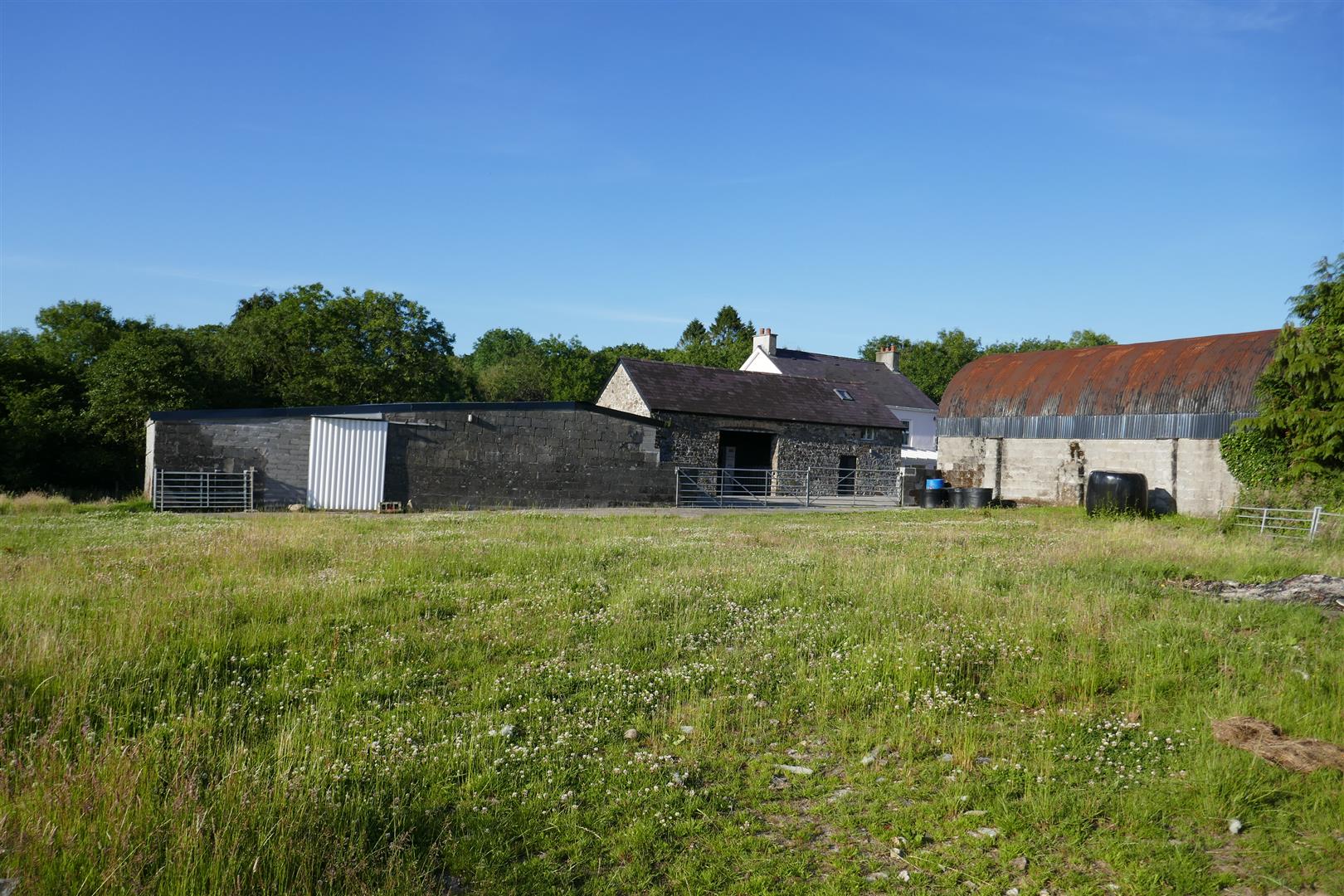 THE HOMESTEAD